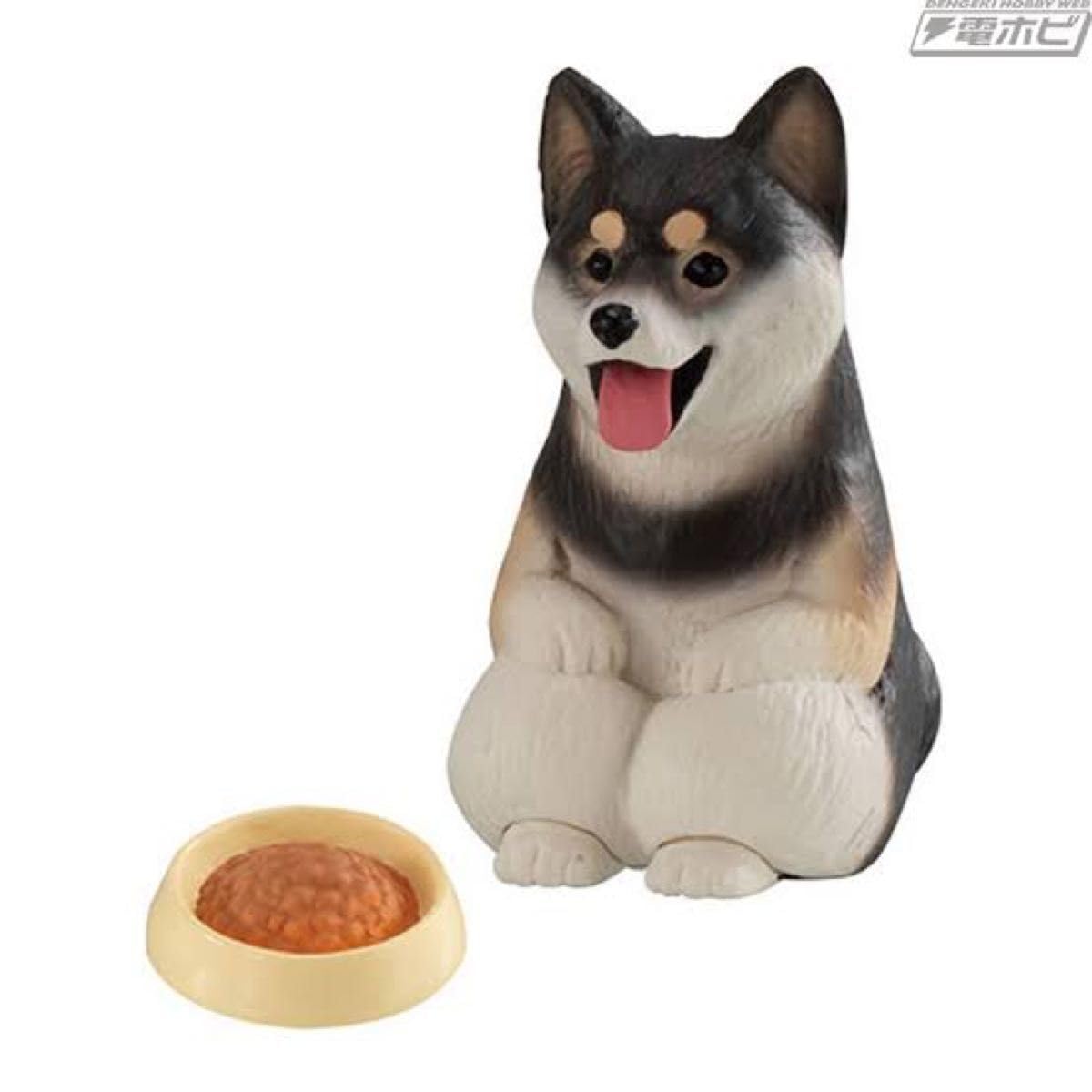 Amazon.co.jp: まてぼうけ犬 トイプードル 柴犬 : おもちゃ